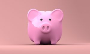 bright pink piggy bank on a pink backdrop